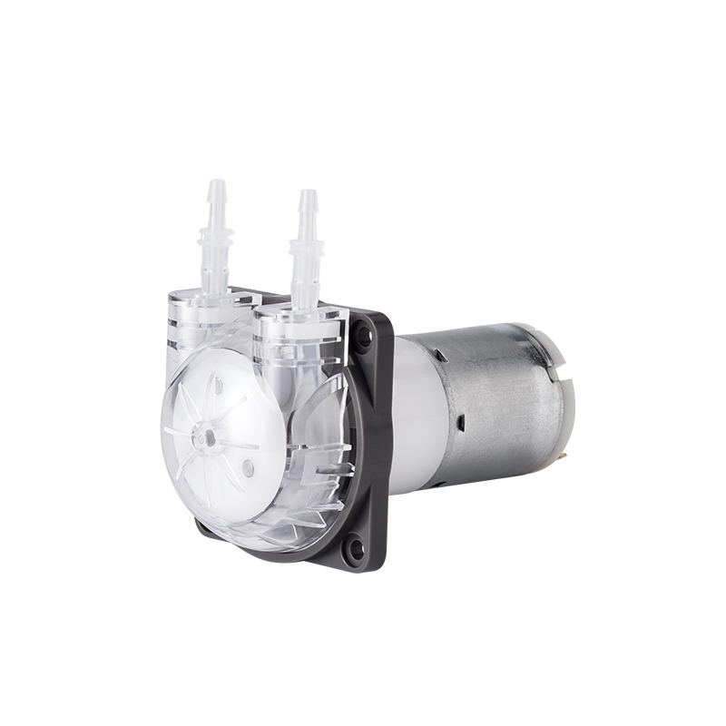 PENGPU 마이크로 연동 펌프 24V 스테퍼 모터 실 - Mini Peristaltic Pump 12V 리뷰 및 가격