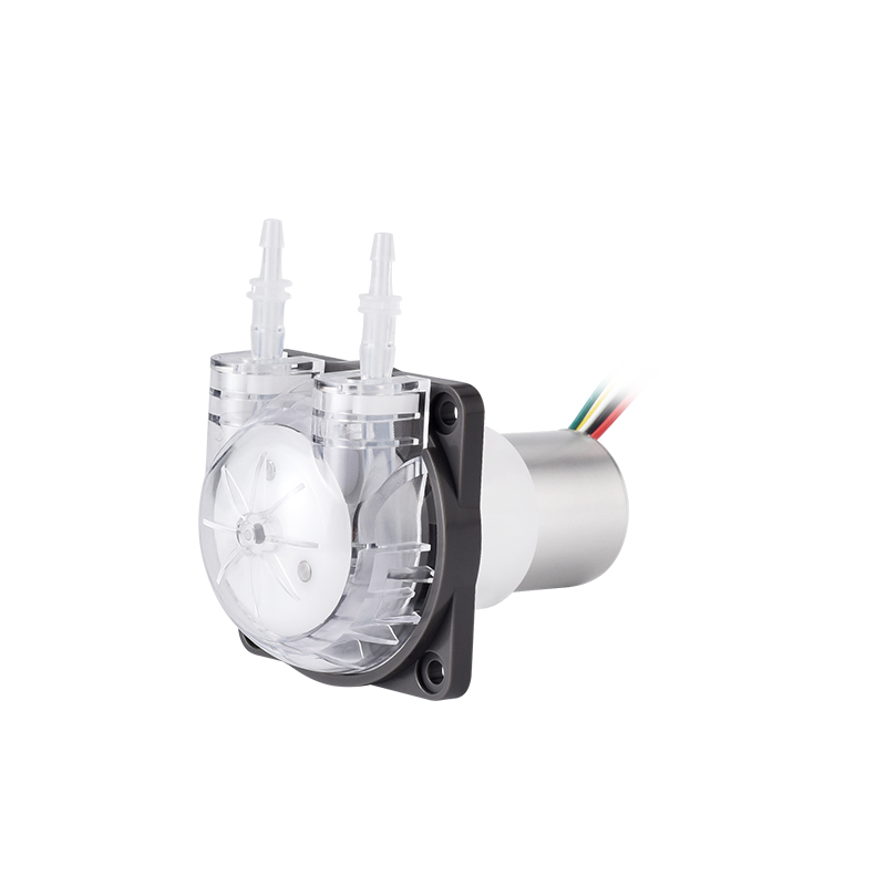 PENGPU 마이크로 연동 펌프 24V 스테퍼 모터 실 - Mini Peristaltic Pump 12V 리뷰 및 가격