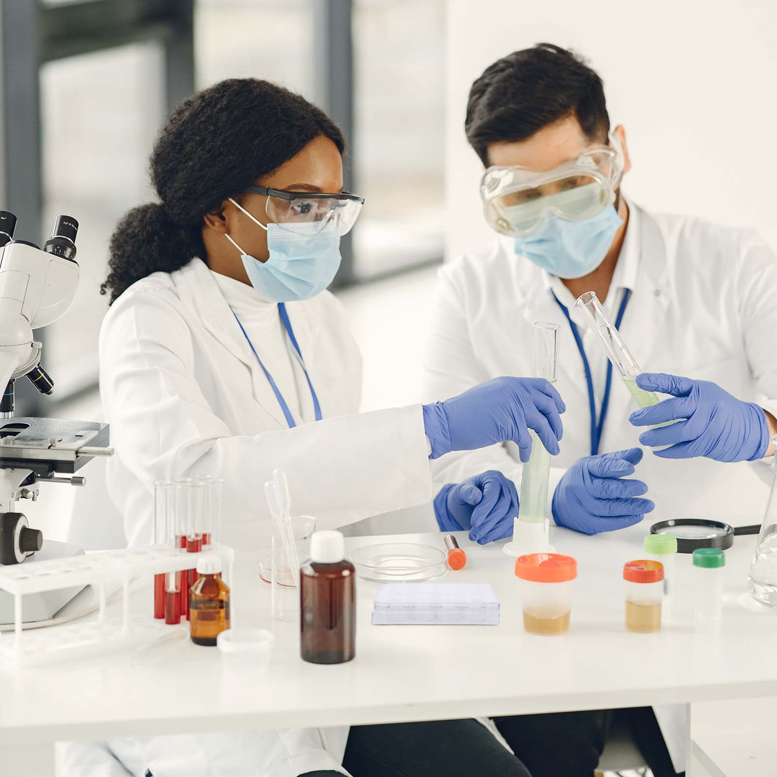 12구멍 세포 배양 플레이트, 조직 배양 트레이, 실험 - Lab Equipment 리뷰 및 가격