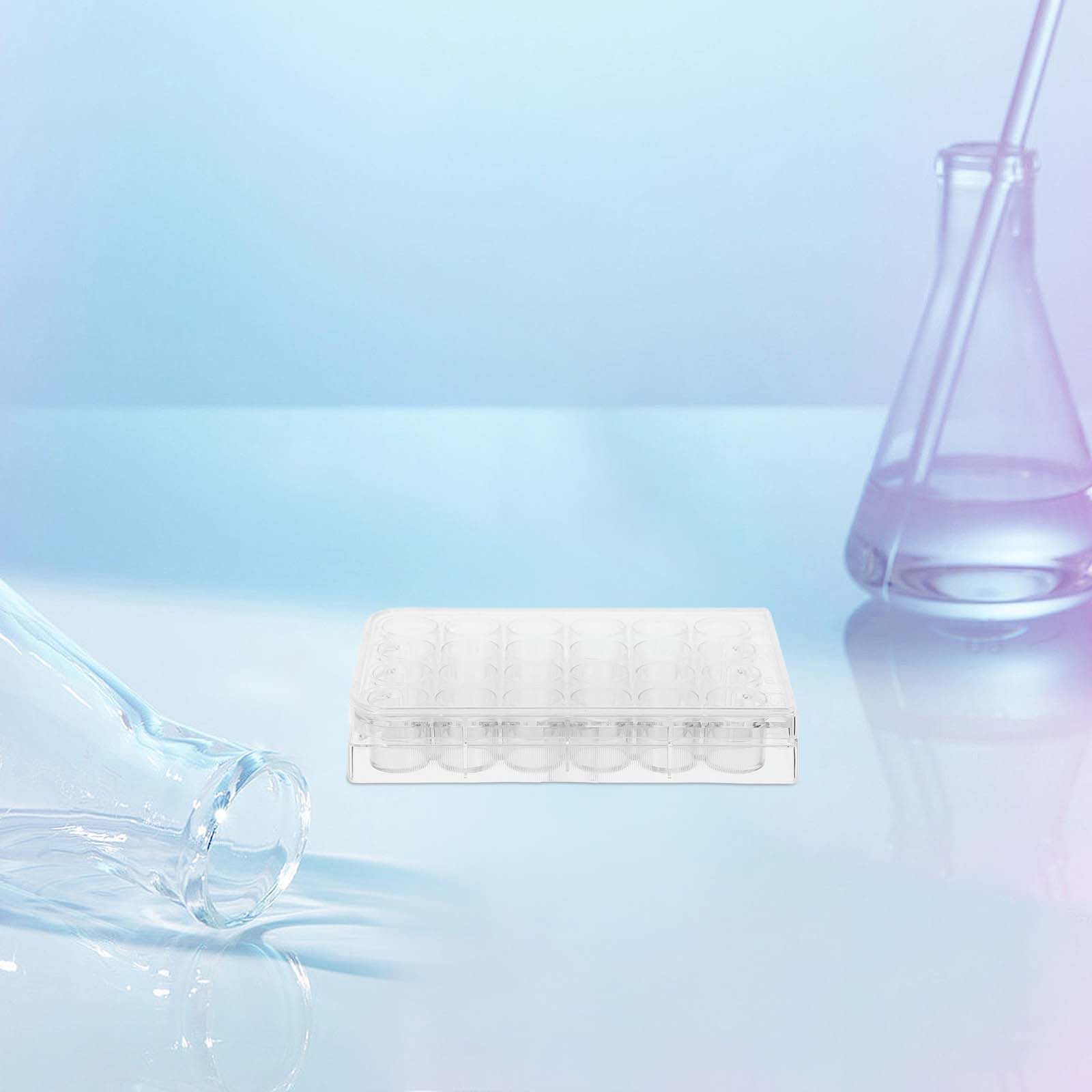 2Pcs 24홀 세포 배양 플레이트 실험실 장비 조직  - Lab Equipment 리뷰 및 가격